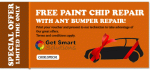 paint_chip_repair_voucher
